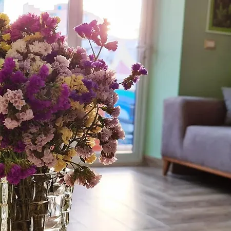 2v1 - Sheshi Willson Appartement Tirana