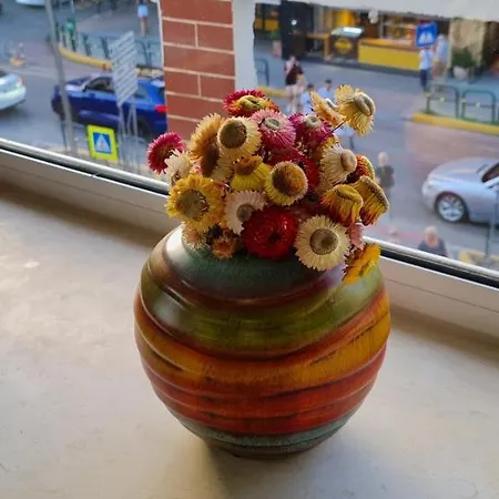 2v1 - Sheshi Willson Appartement Tirana